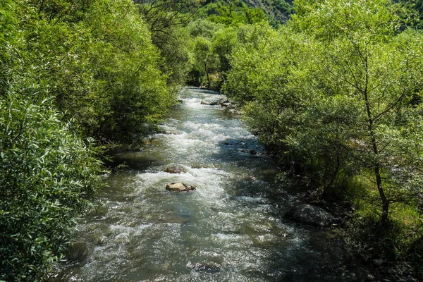 Szybko Górskiej Rzeki Tedzami Trialeti Górski Środkowej Gruzji Podróżnicze Rout — Zdjęcie stockowe