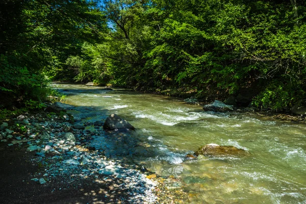 Hızlı Dağ Nehir Tedzami Trialeti Dağ Merkezi Gürcistan Ünlü Seyahat — Stok fotoğraf