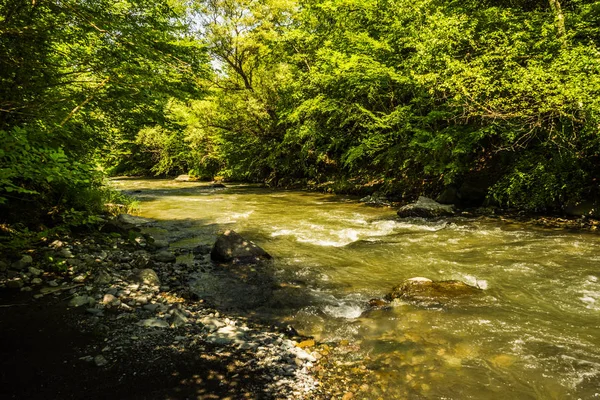 Szybko Górskiej Rzeki Tedzami Trialeti Górski Środkowej Gruzji Podróżnicze Rout — Zdjęcie stockowe