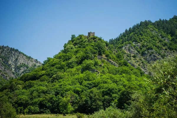 Montagna Trialeti Gamma Paesaggio Estivo Paesaggio Nella Valle Del Fiume — Foto Stock
