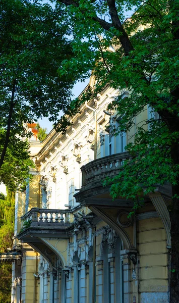 Batumi Georgia July 2018 Architecture Old Batumi Palm Trees Best — Stock Photo, Image