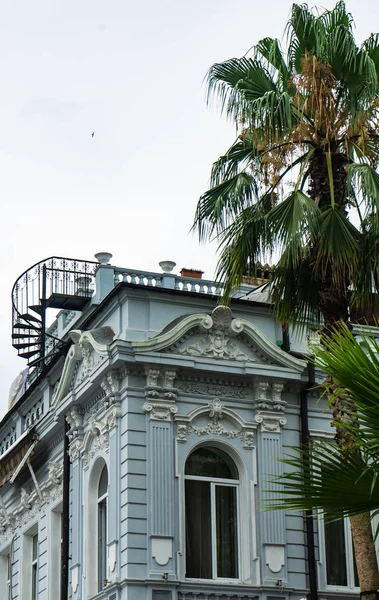 Batumi Gruzie Července 2018 Architektura Staré Batumi Palm Stromy Nejlepší — Stock fotografie