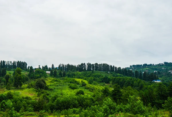 Typische Gebirgs Und Kostrallandschaft Mit Kaukasischen Bergen Und Flüssen Adjara — Stockfoto