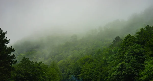 大コーカサス山脈の霧風景 — ストック写真