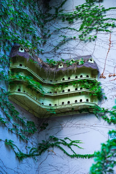 Old Bird House Garden Covered Ivy Plant — Stock Photo, Image