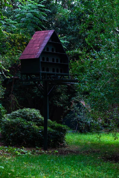 キヅタの植物に覆われた庭の古い鳥の家 — ストック写真