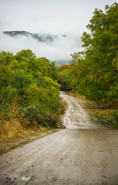 Дорога Тропічному Осінньому Ландшафті Кавказькій Горі Кахетії Винний Регіон Грузії — стокове фото