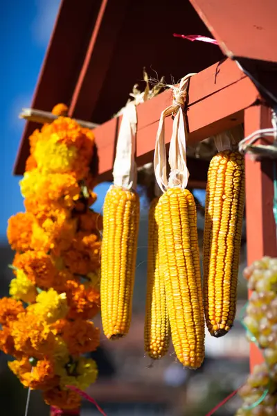 Gedroogde Maïs Straatmarkt Als Voedsel Herfst Oogst Begrip — Stockfoto