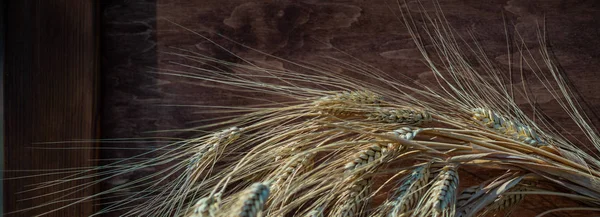 Wheat Ear Livre Composição Alimentos — Fotografia de Stock