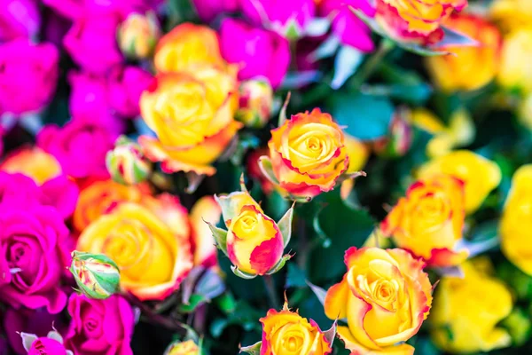 Flores Rosa Brilhantes Buquê Mulher — Fotografia de Stock