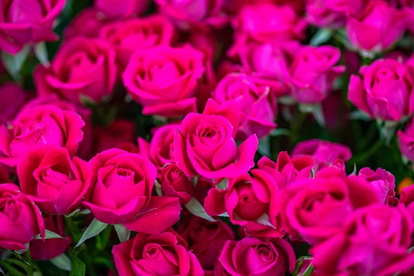 Flores Rosa Brilhantes Buquê Mulher — Fotografia de Stock