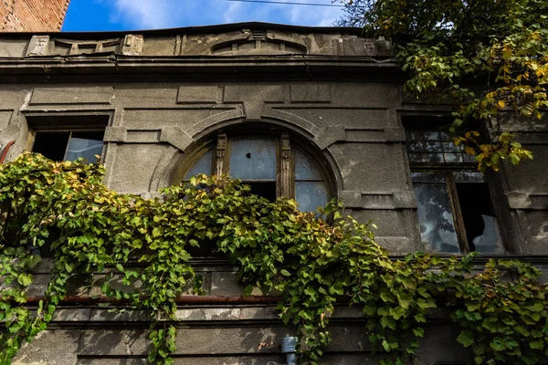 Fenêtres Bâtiment Dans Partie Historique Tbilissi Géorgie — Photo