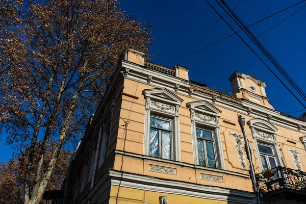 Vnější Detail Fasády Sololaki Oblasti Tbilisi Architektury Počátku Století Evropský — Stock fotografie