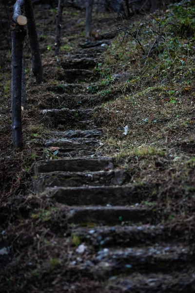 Παλιά Ξύλινα Stepway Ένα Σύμπλεγμα Δομών Του Χρόνου Την Άνοιξη — Φωτογραφία Αρχείου