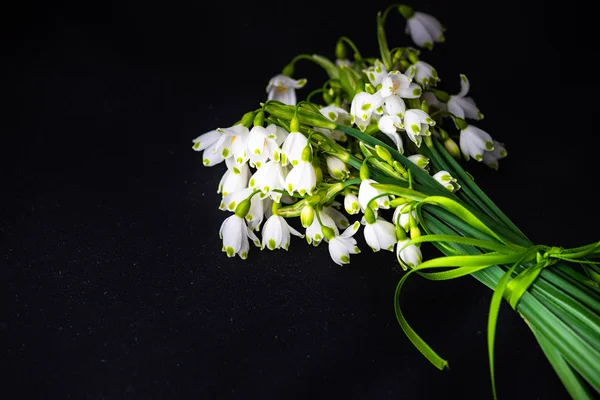 Velikonoční dovolená karet concept — Stock fotografie