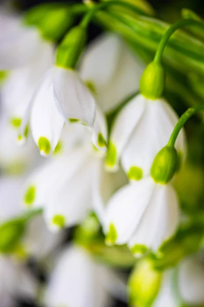 Concetto carta vacanza Pasqua — Foto Stock