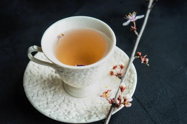 Чашка чаю і квітуче дерево — стокове фото
