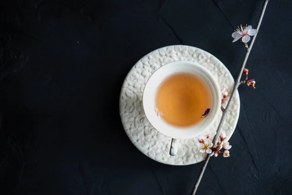Чашка чая и цветущее дерево — стоковое фото