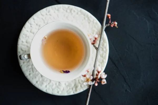 Xícara de chá e árvore florescendo — Fotografia de Stock