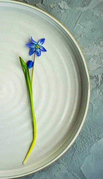 Ajuste de mesa de primavera con scilla siberica azul — Foto de Stock