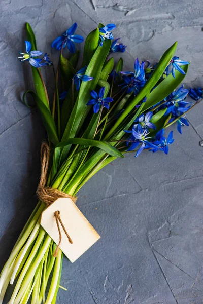 Bahar çiçek kart kavramı — Stok fotoğraf