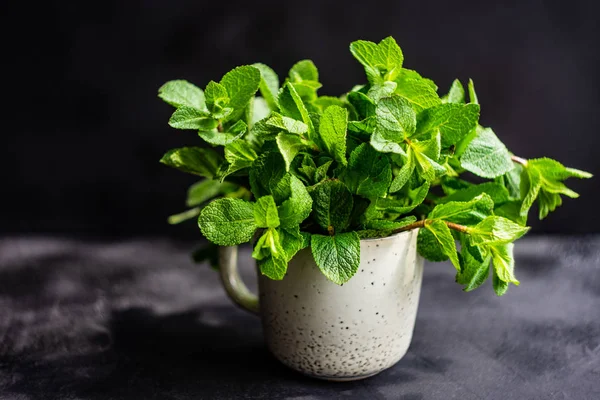 Organik daun mint — Stok Foto