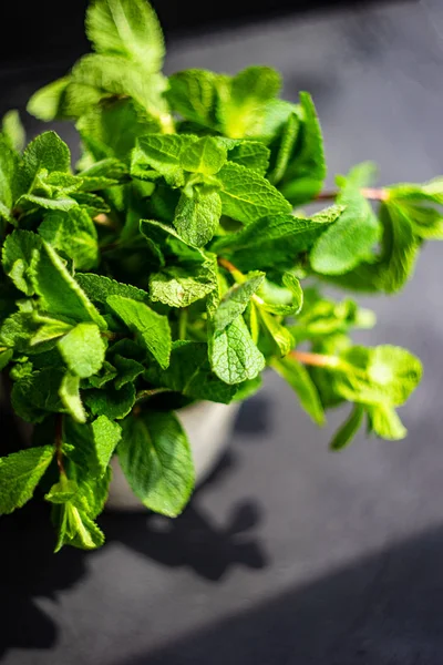 Organik daun mint — Stok Foto