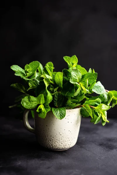 Organik daun mint — Stok Foto