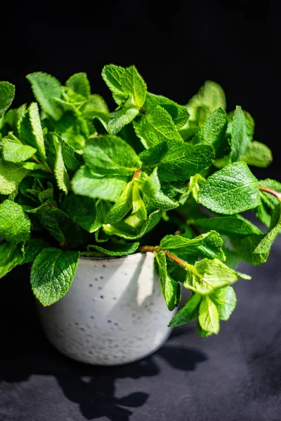 Organik daun mint — Stok Foto