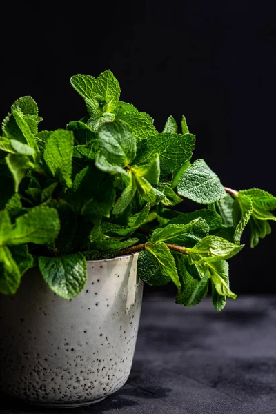 Organik daun mint — Stok Foto