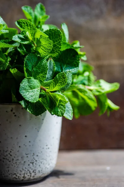 Hojas de menta ecológica — Foto de Stock