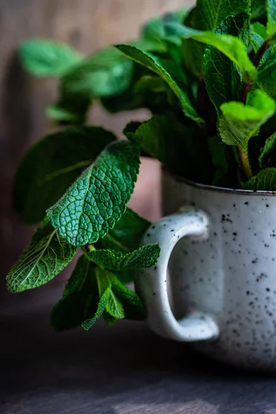 Hojas de menta ecológica — Foto de Stock