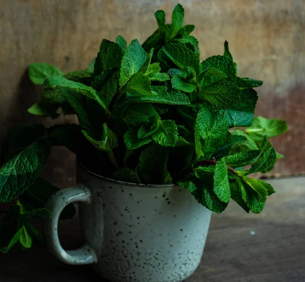 Organik daun mint — Stok Foto