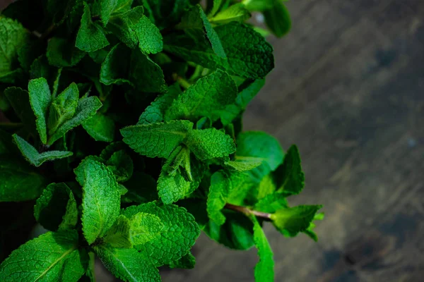 Organik daun mint — Stok Foto