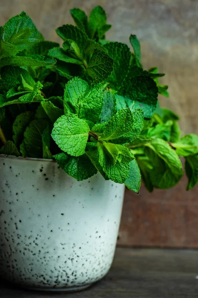 Hojas de menta ecológica — Foto de Stock