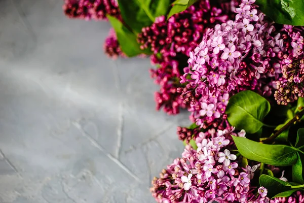 Primavera concetto di carta floreale — Foto Stock