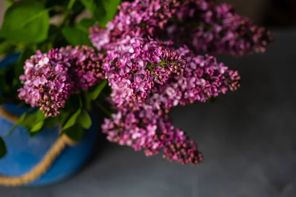 Conceito de cartão floral primavera — Fotografia de Stock