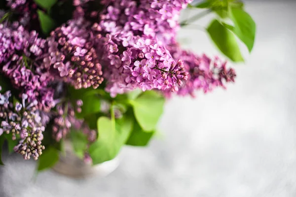 Conceptul cardului floral de primăvară — Fotografie, imagine de stoc