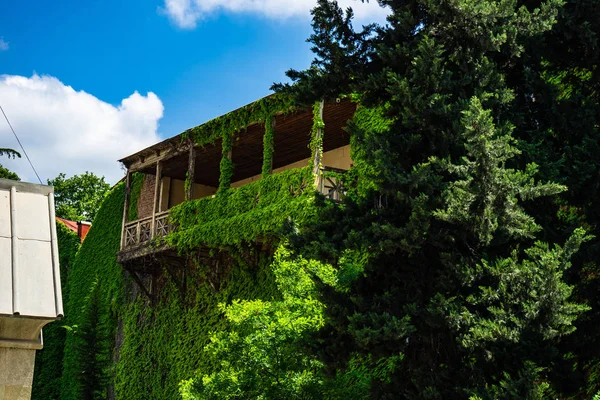 Zomertijd in Tbilisi — Stockfoto