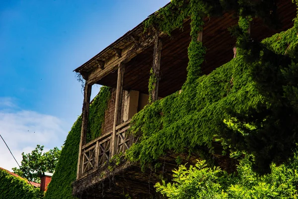 Tiflis'te yaz saati — Stok fotoğraf