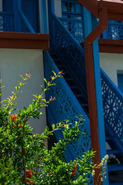 Zomertijd in Tbilisi — Stockfoto