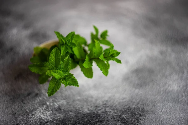 Menta ecológica verde —  Fotos de Stock