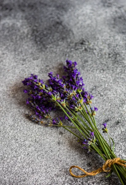 Conceito floral de lavanda fresca — Fotografia de Stock