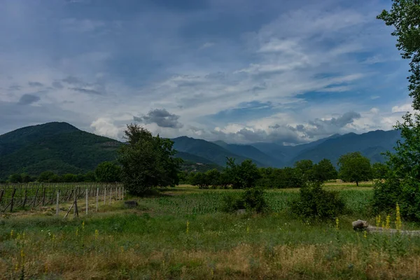 Hora de verão na área de kakheri — Fotografia de Stock