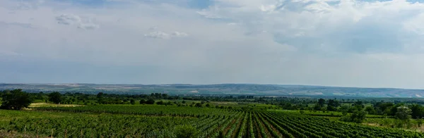 Verano en el área de kakheri — Foto de Stock