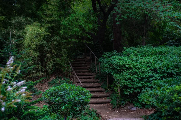 Ländliche Landschaft mit alter Treppe — Stockfoto