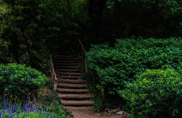 Lanskap pedesaan dengan tangga tua — Stok Foto