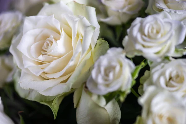 Bílé růže v kytice — Stock fotografie