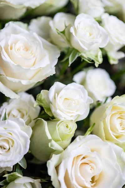 Rose bianche in mazzo — Foto Stock
