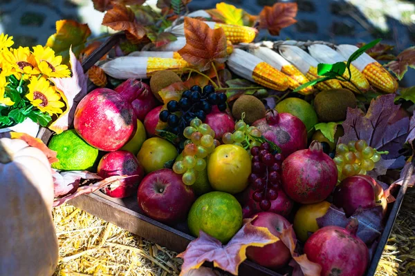Herbstliche Früchte in der Zusammensetzung — Stockfoto